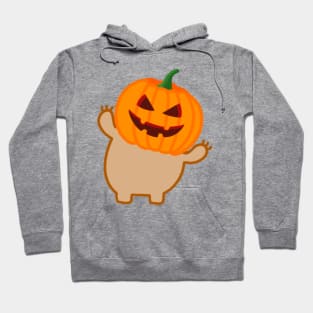 Cute Halloween Pumpkin Head Sloth Hoodie